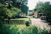 Backyard and Driveway