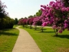 Kingsmill Resort Walkway