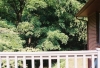 Privacy View from Composite Deck